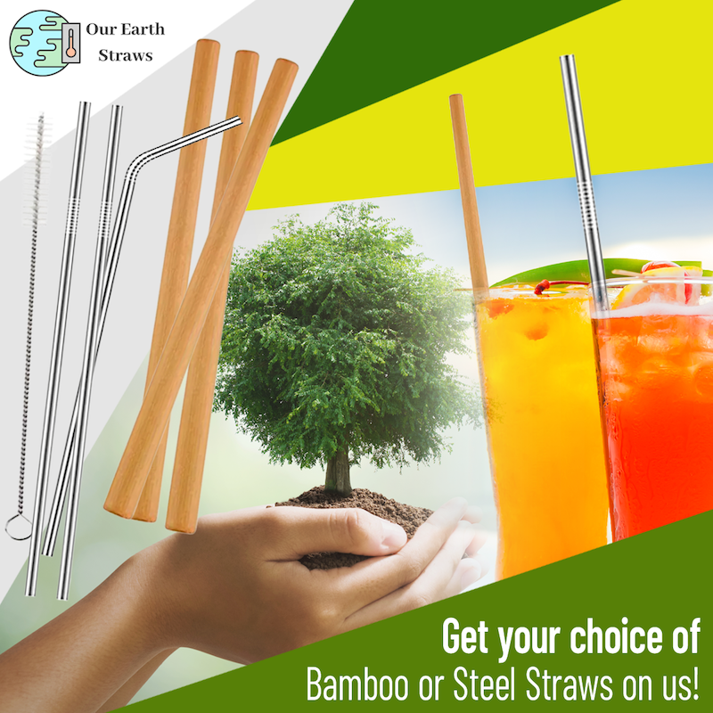 Our Earth Straws